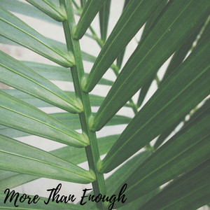 More Than Enough by Dillo Woo