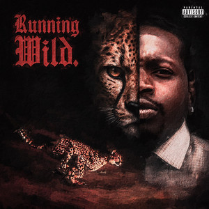 Quany Disani - Running game