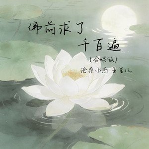 王星儿 & 沧桑小杰 - 佛前求了千百遍 (合唱版)