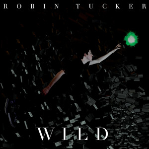 Find It by Robin Tucker