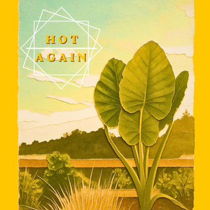 Hot Again by Freddy Schlender, Jazzy James
