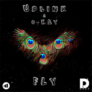 Fly (feat. Philip Strand) - Radio Edit by Uplink, O.KAY, Philip Strand