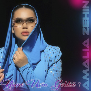 Näme Üçin Geldiň ? by Amalia Zehin