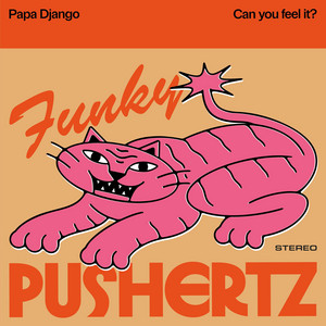Can you feel it? by Funky Pushertz