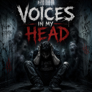Voices in my Head by Split the Silence
