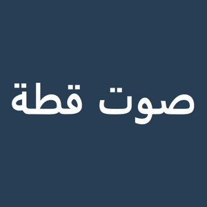 صوت قطة - صوت سيارة الشرطة