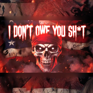 I DON’T OWE YOU SH*T by Dust Revenant