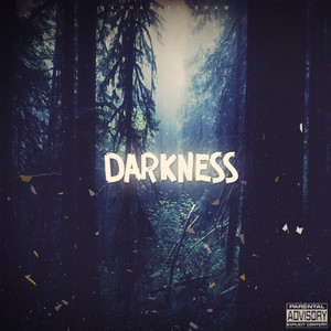 Darkness (feat. Sox) by Nathaniel Shaw, Sox
