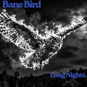 Long Nights by Bane Bird