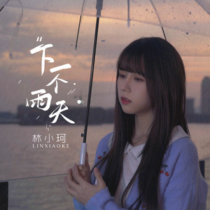 下一个雨天 by 林小珂