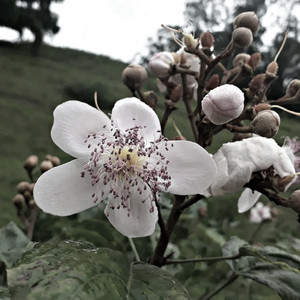 Professor lay - Aviso Geral