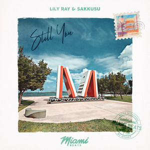 Still You by Lily Ray, Sakkusu