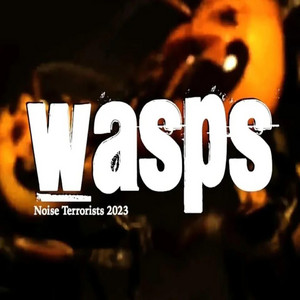 Wasps