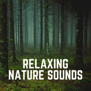 Relaxing Nature Sounds album