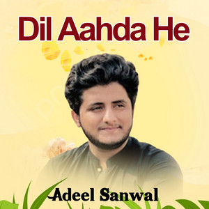 Adeel Sanwal - Na Poch Hal Sadey