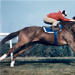 Trot In The Green by Carpool Kamikaze