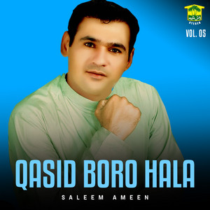 Saleem Ameen - Mani Laila Tai Majno