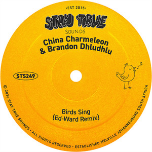 Birds Sing - Ed-Ward Remix — China Charmeleon, Brandon Dhludhlu, Ed-Ward