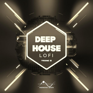 Harmonic Minds - Endless Calm