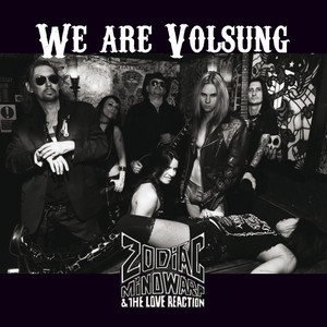 We Are Volsung cover
