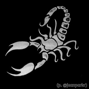 Zodiac by Tofer