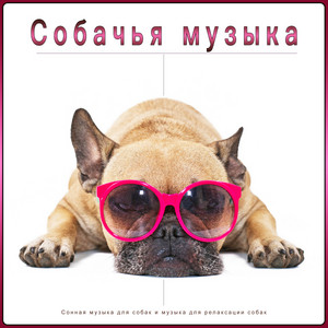 Собачья музыка: Сонная музыка для собак и музыка для релаксации собак