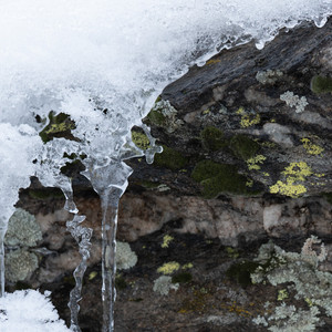sursum corda by r beny