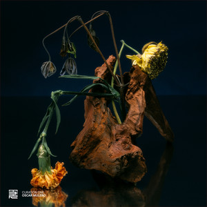 Curation One: Oscar Mulero cover art
