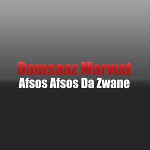 Damsaaz Marwat - Nema Shpa We