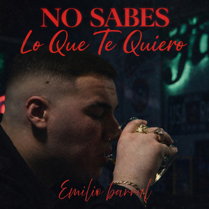 Emilio Barrul - No Sabes Lo Que Te Quiero