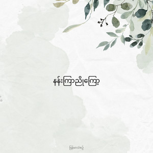 နန်းကြာညိုကြော့
