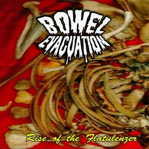 Formicophilie – Musik und Lyrics von Bowel Evacuation | Spotify