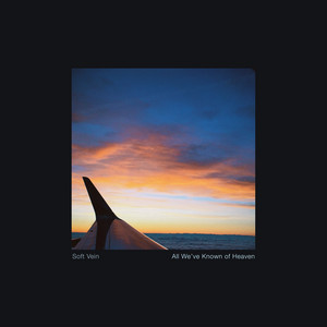 Proof of Life by SOFT VEIN