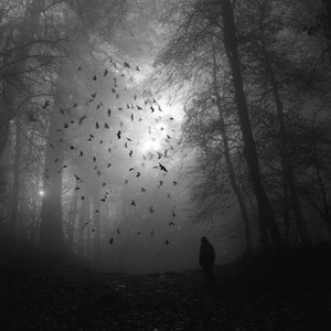 Whisper of Shadows (Dark Ambient Soundscape for Sleep, Horror, and Haunted Spooky Atmosphere) by The Mystical Drifter