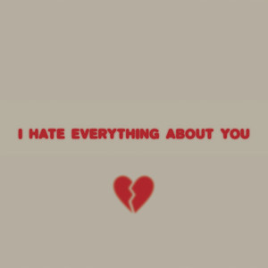 I Hate Everything About You