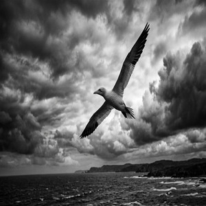 Free Bird by BenjiCz