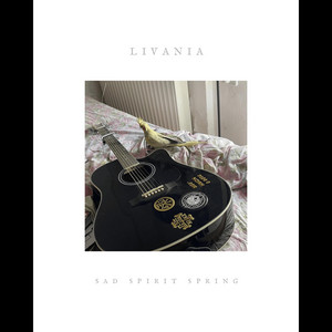 you missed my heart (sadder than the album) by livania
