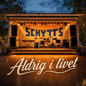 Aldrig i livet by Schytts