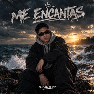 Me Encantas by El Flow Pesao