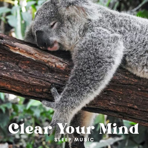 Sleep Music: Clear Your Mind album