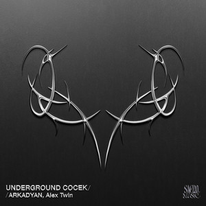 ARKADYAN — Underground Cocek (2026)