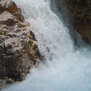 silt by culturalists