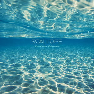 Slow Ocean Relaxation by Scallope Album Cover