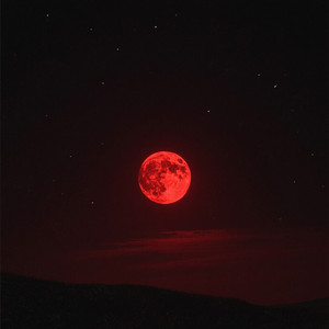 Damn you all him by Gary Dist