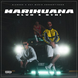 Marihuana by Elvo, SYNI