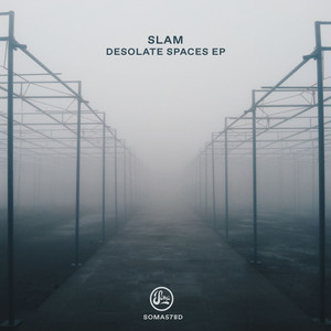 Desolate Spaces cover art