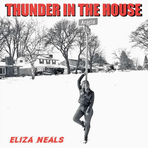 Thunder in the House by Eliza Neals