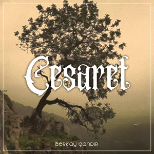 Berkay Çandır - Cesaret