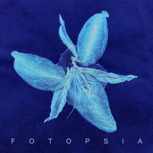 Euphoria by Fotopsia