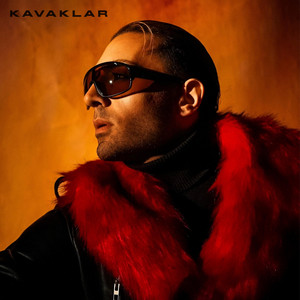 Kavaklar